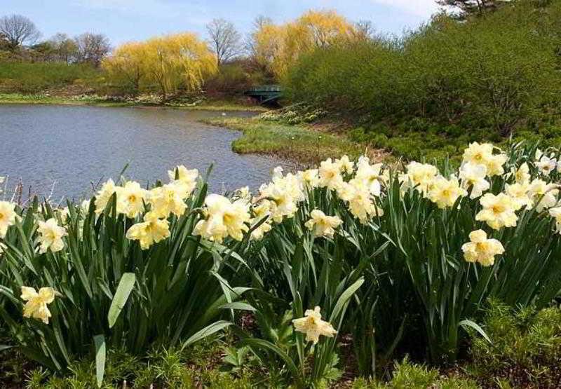 Springhill Chicago Hotel Lincolnshire